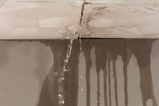 Professional Water Extraction technician working in Utica, IN
